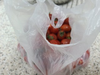 갤러리 이미지