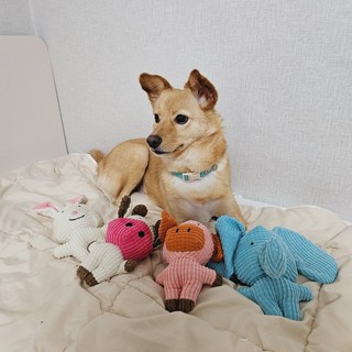 갤러리 이미지