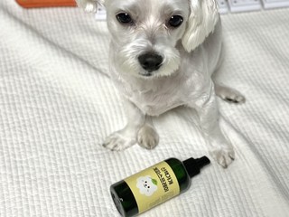갤러리 이미지