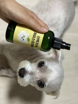 갤러리 이미지