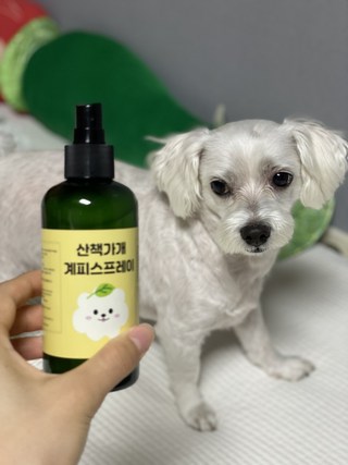 갤러리 이미지