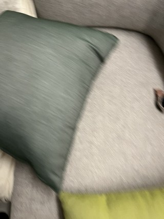 갤러리 이미지