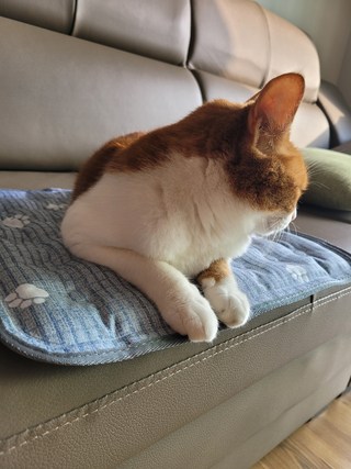 갤러리 이미지