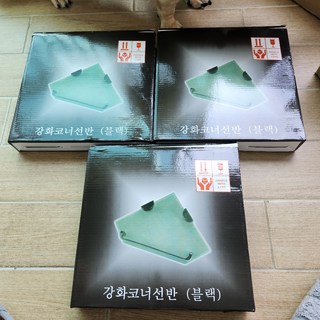 갤러리 이미지