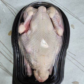 후기