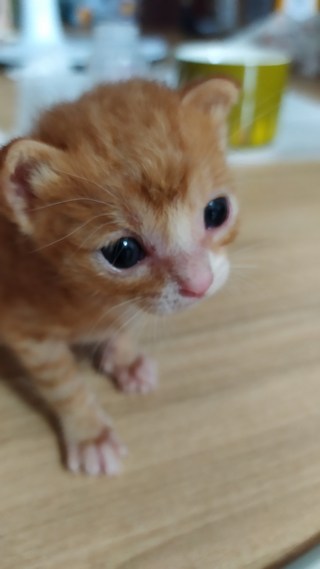 갤러리 이미지