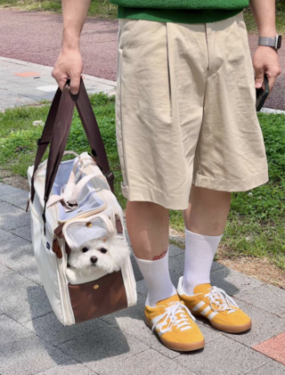 갤러리 이미지