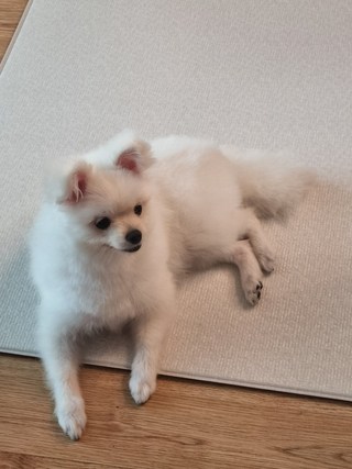 갤러리 이미지