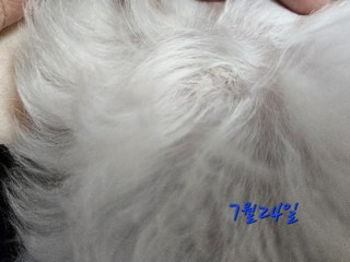 갤러리 이미지