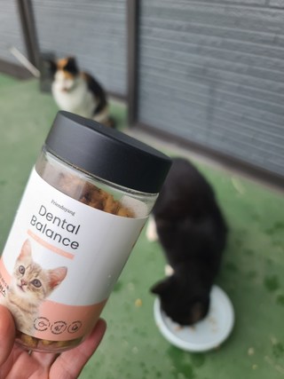 갤러리 이미지
