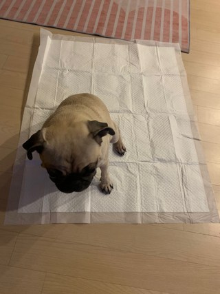 갤러리 이미지