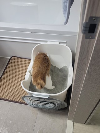 갤러리 이미지