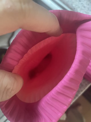 갤러리 이미지
