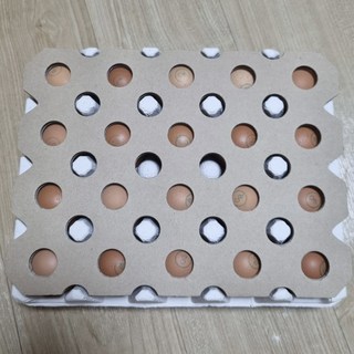 갤러리 이미지