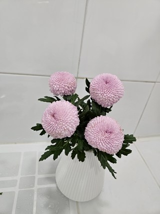 갤러리 이미지