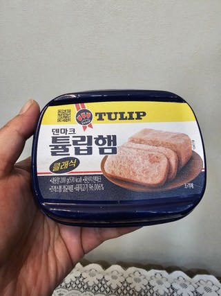 갤러리 이미지