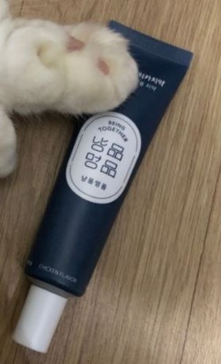 갤러리 이미지