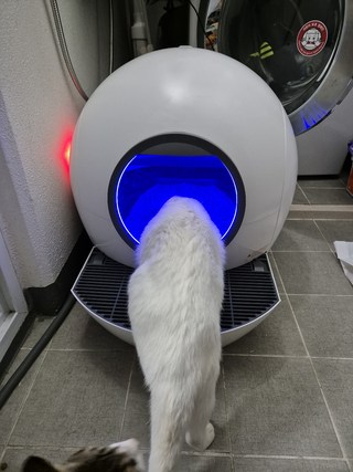 갤러리 이미지