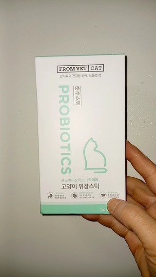 갤러리 이미지