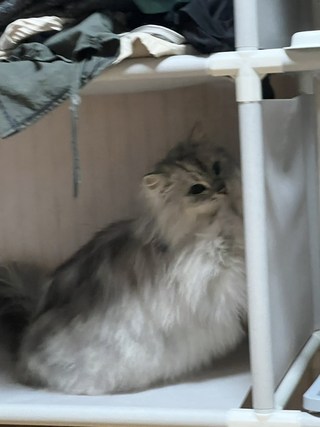 갤러리 이미지