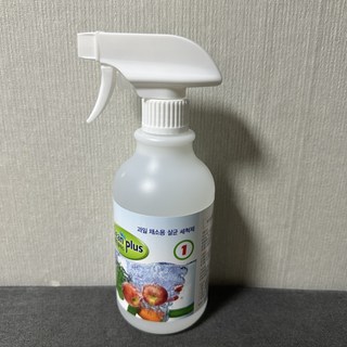 갤러리 이미지