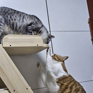 갤러리 이미지