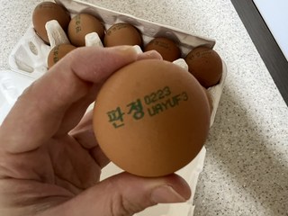 갤러리 이미지