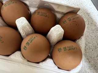 갤러리 이미지