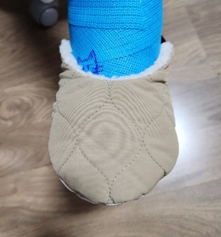 갤러리 이미지