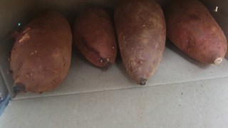 갤러리 이미지