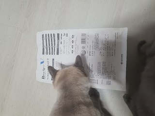 갤러리 이미지