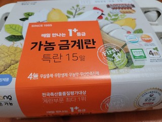 갤러리 이미지