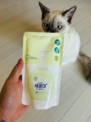 갤러리 이미지