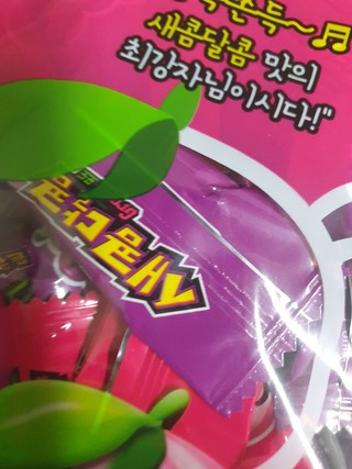 갤러리 이미지