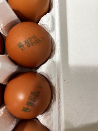 갤러리 이미지