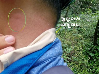 갤러리 이미지
