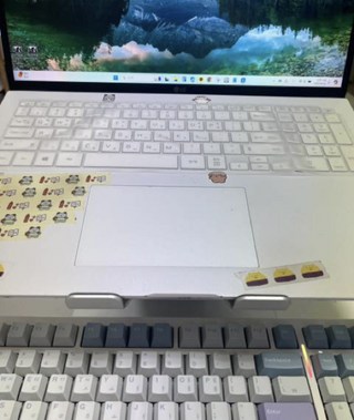 갤러리 이미지