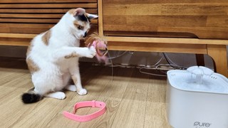 갤러리 이미지