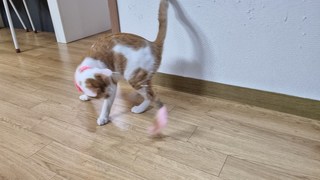 갤러리 이미지