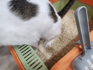 갤러리 이미지
