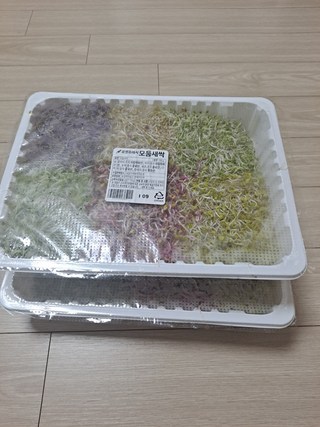 갤러리 이미지