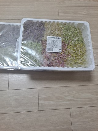 갤러리 이미지