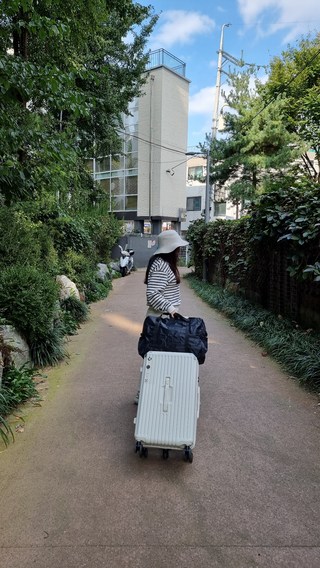 갤러리 이미지