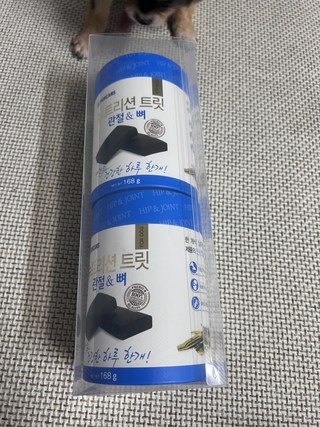 갤러리 이미지