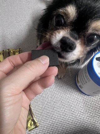 갤러리 이미지