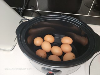 갤러리 이미지