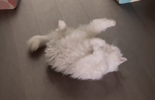 갤러리 이미지