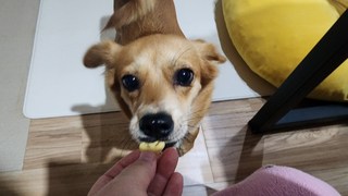 갤러리 이미지
