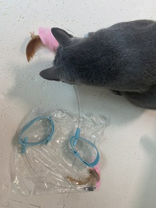 갤러리 이미지