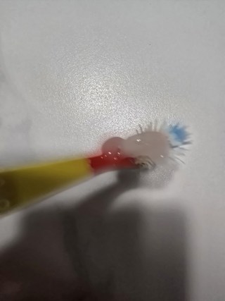 갤러리 이미지